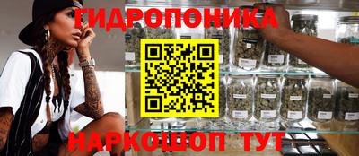 молекула духа Сланцы