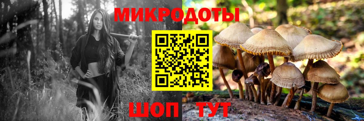 Псилоцибиновые грибы мицелий Нижний Новгород